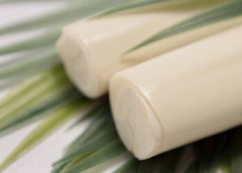 Dicas para conservar o palmito fresco por mais tempo