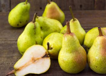 Como plantar peras em seu quintal sem dificuldade