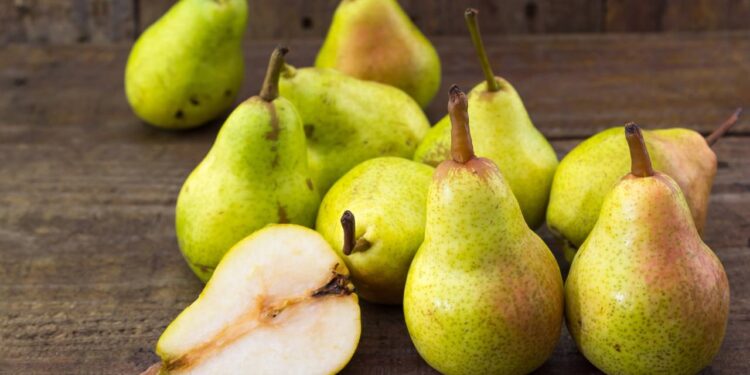 Como plantar peras em seu quintal sem dificuldade