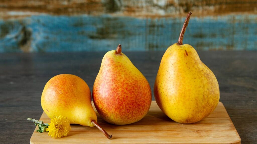 Como plantar peras em seu quintal sem dificuldade