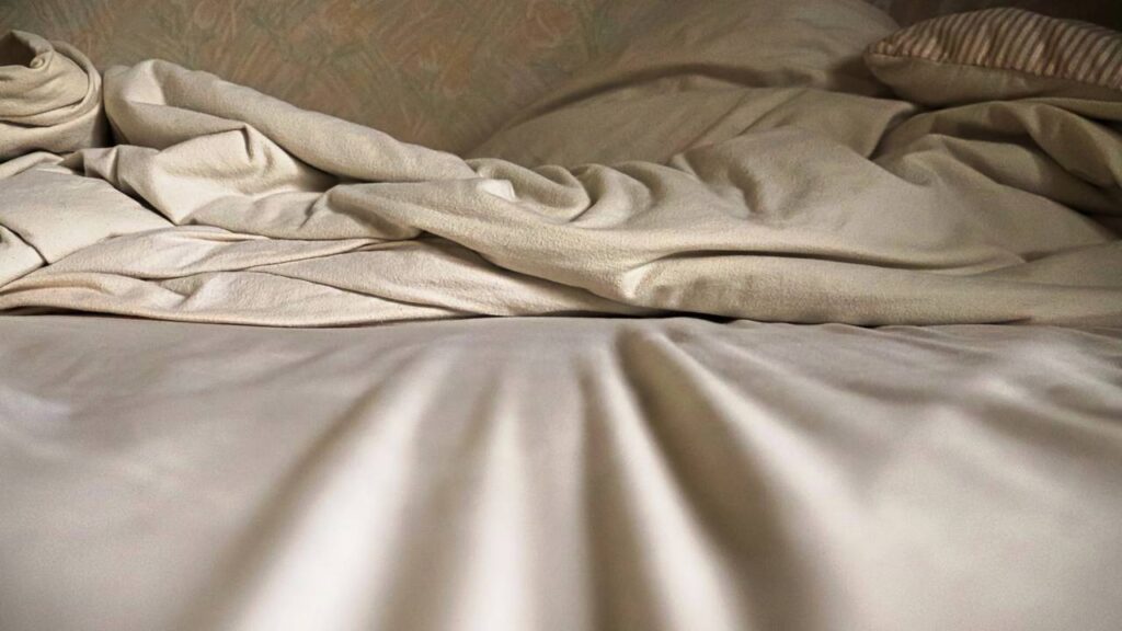 É assim que você pode se livrar dos percevejos; é de longe o melhor método