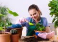 Plantas simples de cultivar para iniciantes em jardinagem