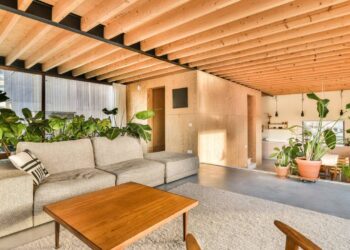 Plantas que purificam o ar poluído e elevam o bem-estar respiratório diário