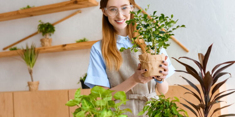 Plantas que fortalecem o sistema imunológico e são ideais para cultivar no dia a dia