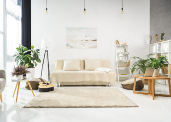 3 plantas que tornam sua sala de estar um espaço urbano versátil e acolhedor