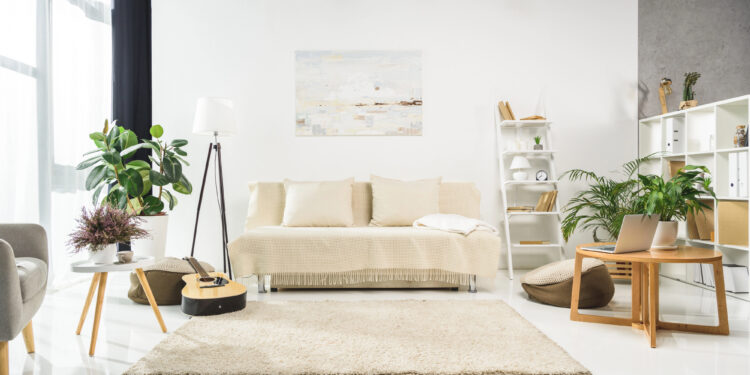 3 plantas que tornam sua sala de estar um espaço urbano versátil e acolhedor