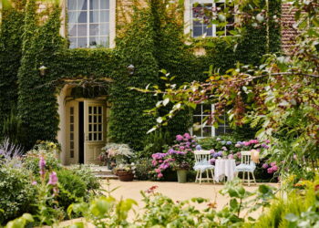 Plantas para criar jardins lindos e cheios de vida