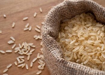 Quantos grãos tem em um saco de arroz? Segundo Manual do Mundo