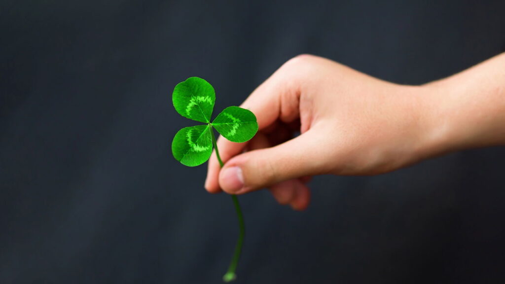 Saiba por que o trevo de 4 folhas é visto como símbolo de sorte