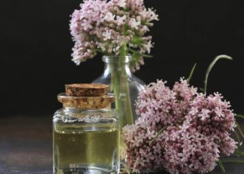 Aprenda a fazer o chá de valeriana que ajuda a relaxar e traz leveza