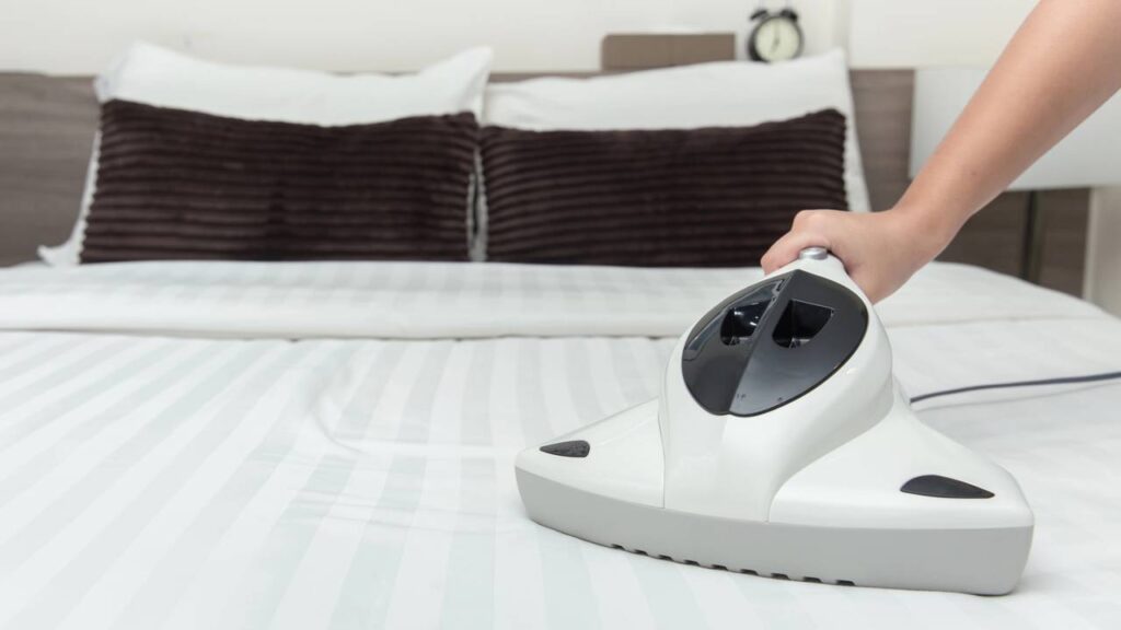 Como manter a casa livre de ácaros e alergias com hábitos simples