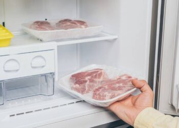 Este material comum pode comprometer a segurança dos alimentos no freezer