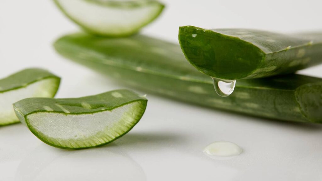 O gel natural mais eficaz para regenerar e hidratar a pele