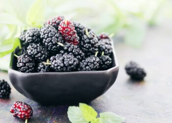 Como cultivar amora em vaso e colher frutas saborosas