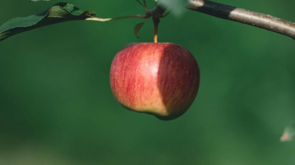 Esta vitamina detox auxilia na redução do inchaço
