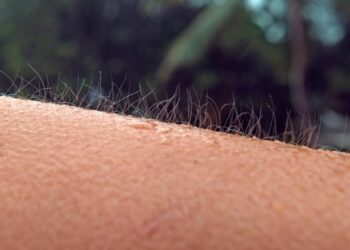 Por que sentimos arrepio quando ouvimos uma música e o que isso diz sobre nossas emoções