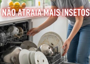 O maior erro que atrai insetos para seu lava-louças