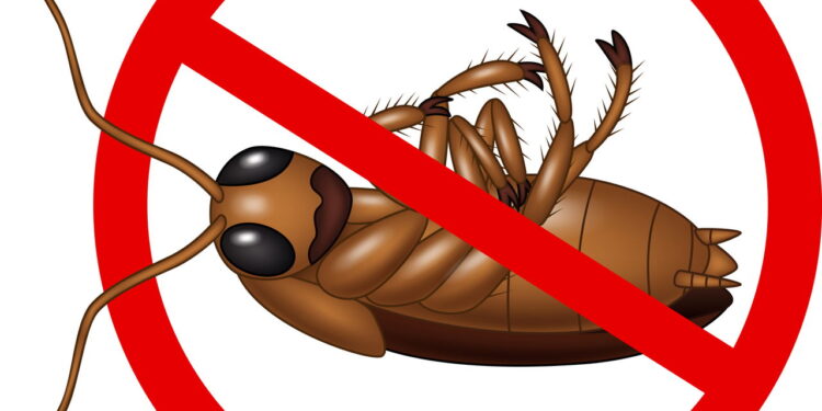 Banheiro sem mofo nem insetos com limpeza simples e eficazes