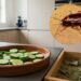 Esses dois itens da sua cozinha estão afastando baratas de casas brasileiras