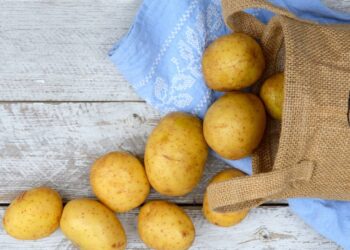 Receitas fáceis no micro-ondas e ideias com batata para o dia a dia