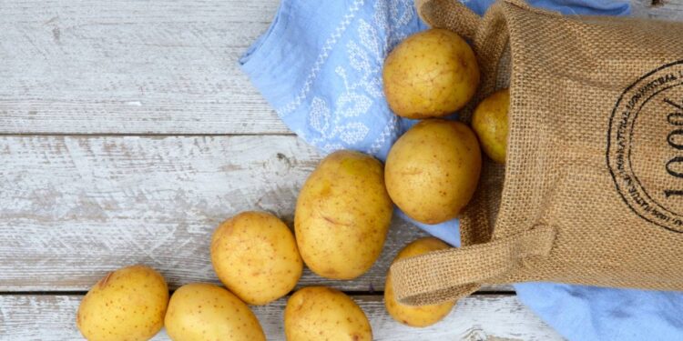 Receitas fáceis no micro-ondas e ideias com batata para o dia a dia