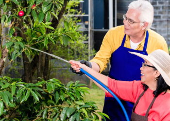 3 plantas que você pode cultivar em casa e que trazem bem-estar