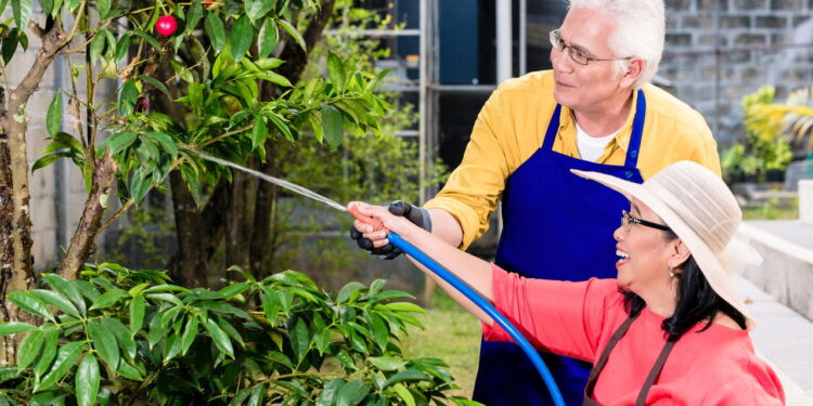 3 plantas que você pode cultivar em casa e que trazem bem-estar