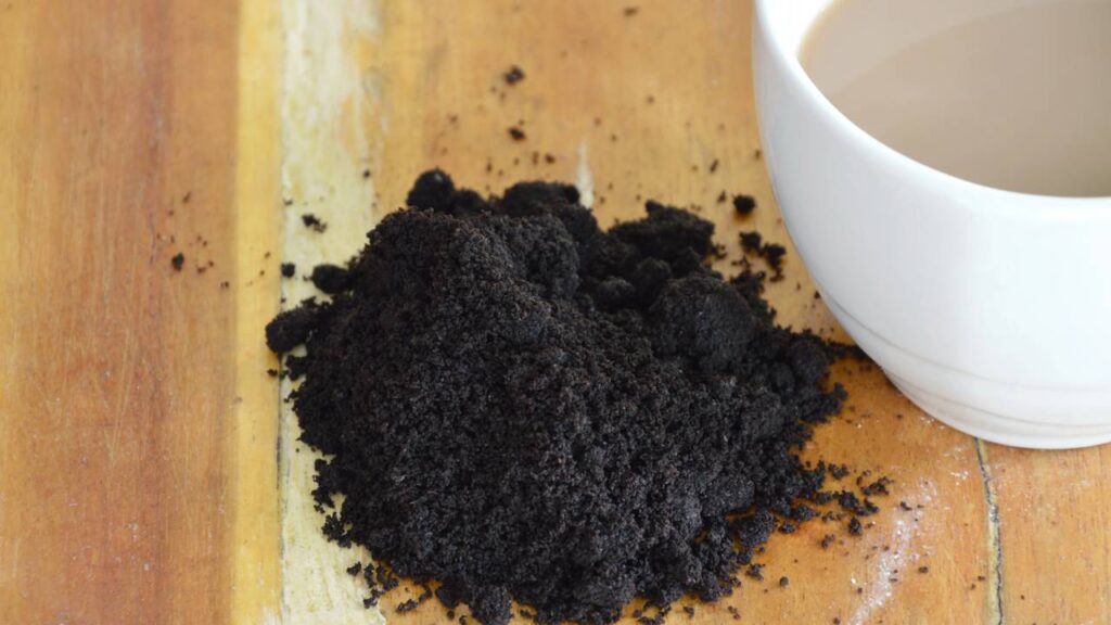 Diga adeus às fomigas com ingredientes que você tem em casa