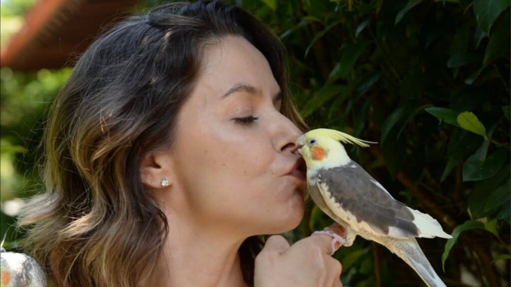 Como estão os atores de ''Os Mutantes: Caminhos do Coração'' 17 anos depois?