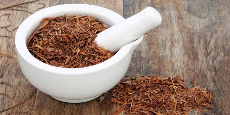 Energia, foco e libido: a planta natural que virou aliada da rotina