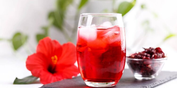 Como preparar chá gelado de hibisco para se manter ativo