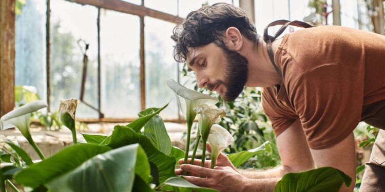 Essas plantas melhoram o sono, aliviam o estresse e renovam a energia da casa