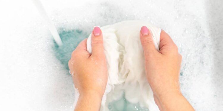 Revelado truque natural para manter as formigas longe da sua cozinha mesmo no calor