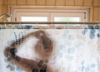 Acabe com o mofo na cortina do box do banheiro e proteja sua saúde