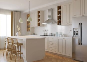 Como evitar que cupins destruam sua cozinha silenciosamente