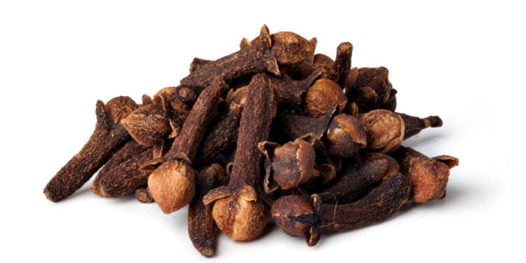 Aprenda a plantar cravo-da-índia e colha flores aromáticas em casa