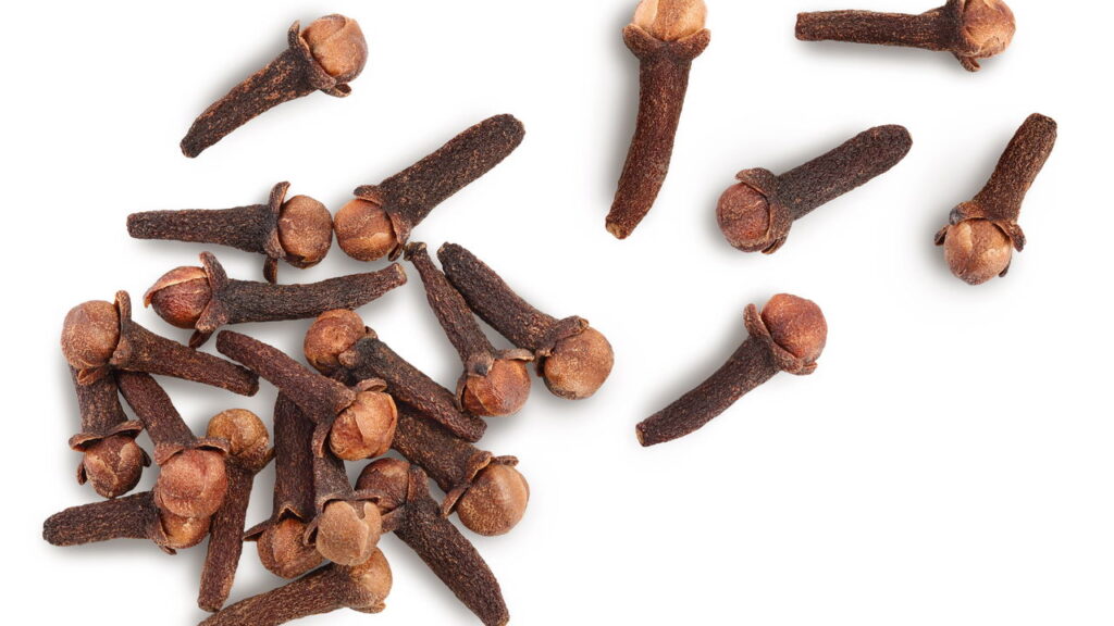 Aprenda a plantar cravo-da-índia e colha flores aromáticas em casa