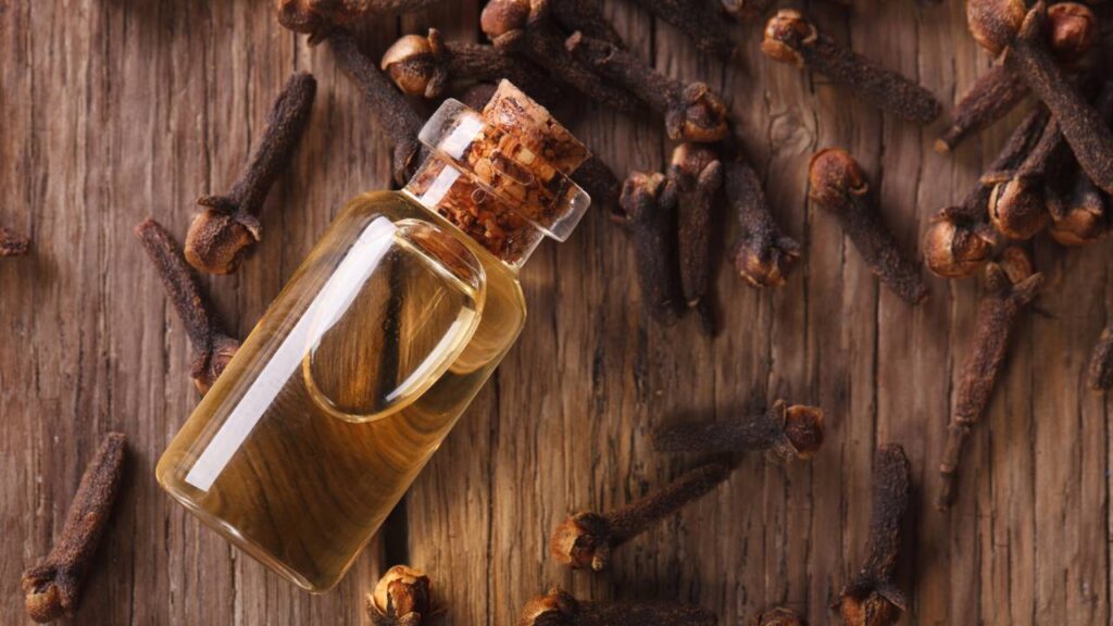 O truque para espantar moscas está salvando cafeteiras e cozinhas