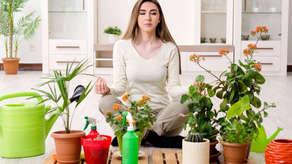 Os 2 signos mais conectados à natureza