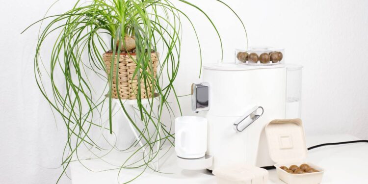 Decoração econômica com ideias criativas usando itens que você já tem