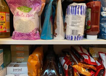 Pragas na despensa saiba como identificar e prevenir infestação.