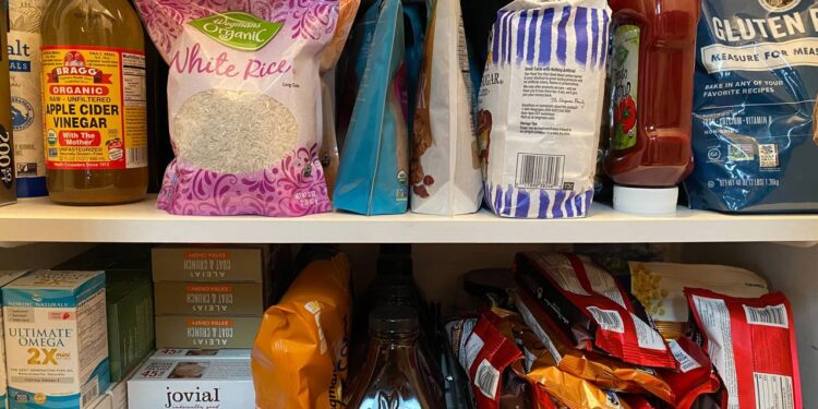 Pragas na despensa saiba como identificar e prevenir infestação.