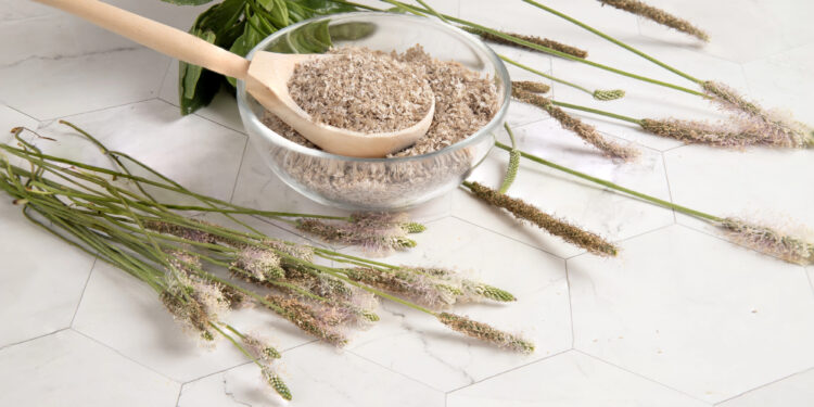 Psyllium, a fibra que vai te ajudar a emagrecer de forma natural