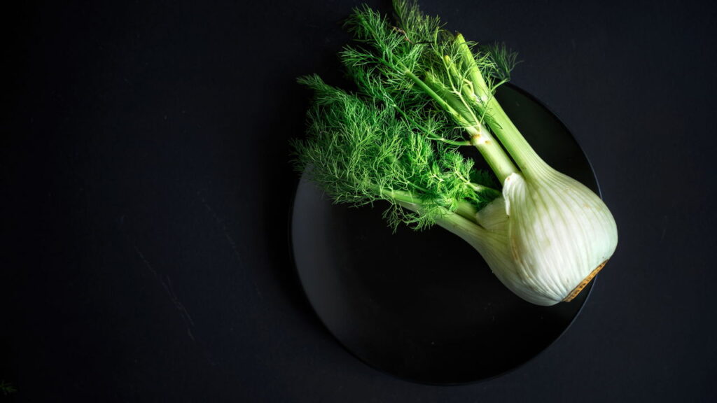 5 plantas medicinais que tratam e ainda decoram seu lar