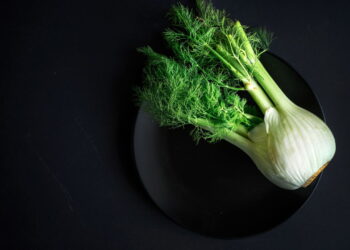 5 plantas medicinais que tratam e ainda decoram seu lar