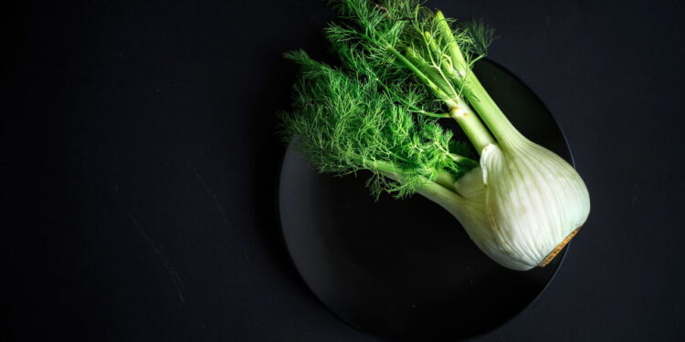 5 plantas medicinais que tratam e ainda decoram seu lar