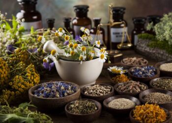 Ervas medicinais para aliviar inflamações e restaurar o equilíbrio do corpo