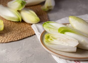 Dicas caseiras para manter a escarola fresca por mais tempo