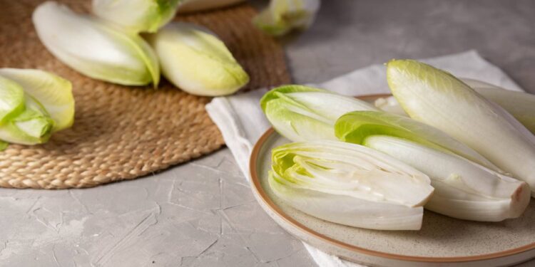 Dicas caseiras para manter a escarola fresca por mais tempo