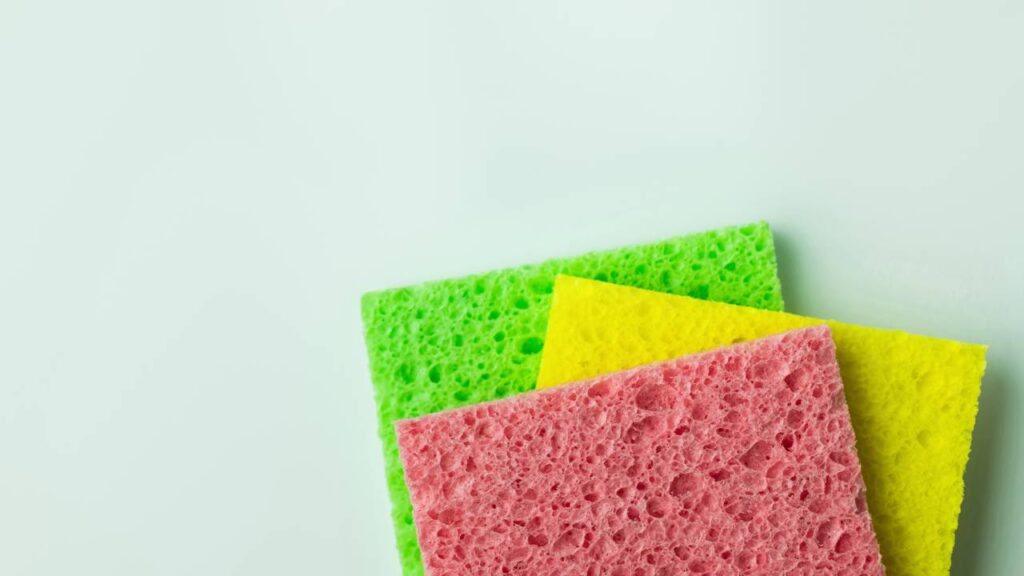 Reaproveitando esponjas naturais: estratégia sustentável para solo fértil